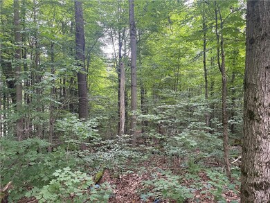 0 State Route 13 unit S1498337, Albion, NY 13302 - photo 6