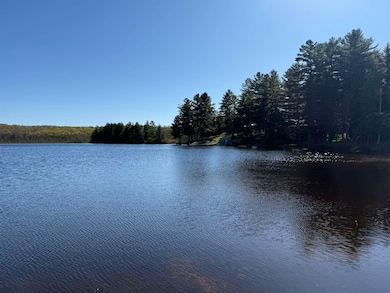 10 Miles Ln, Oswegatchie, NY 13670 - photo 5