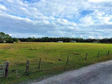 0 Whitney Ashton Ln unit T3417139, Zephyrhills, FL 33542 - photo 3