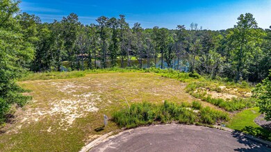 000 Popcorn Point, Petal, MS 39465 - photo 3