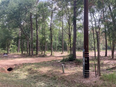 0 Miller Rd, Magnolia, TX 77354 - photo 5