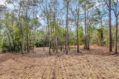 1716 E Bismark St, Hernando, FL 34442 - photo 7