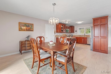 8315 Irish Mist, Onsted, MI 49265 - photo 5