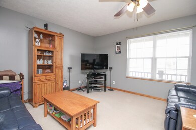 302 S Lincoln St, Downs, IL 61736 - photo 6