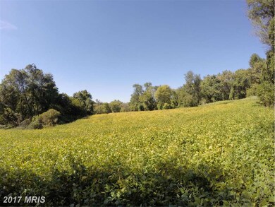 0 Western Rd unit 1002726206, Cockeysville, MD 21030 - photo 3