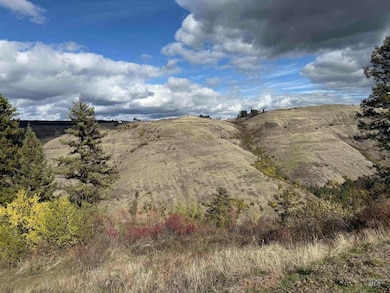 289 Freedom Way, Kooskia, ID 83539 - photo 7