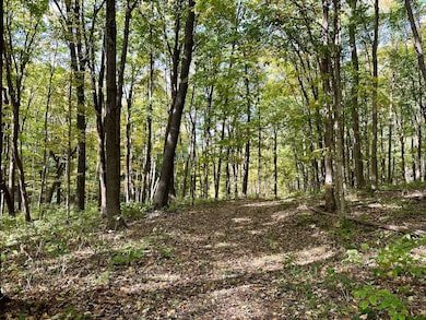 2443 140th St, Galesburg, IL 61401 - photo 3