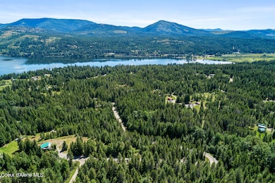 Aerial_306PinewoodLn-1