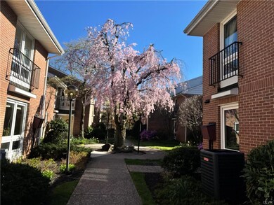 135 E Market St unit C1, Bethlehem, PA 18018 - photo 4