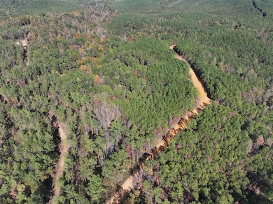 Hugh Gilreath Rd, Woodland, MS 39776 - photo 6