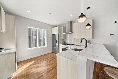 33 Haverford St unit 3, Jamaica Plain, MA 02130 - photo 4