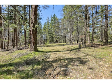 0 Nka Tyler Rd, Goldendale, WA 98620 - photo 4