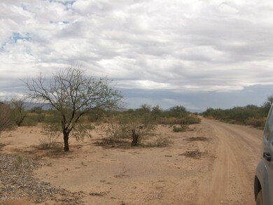 13170 W Green Cactus 003