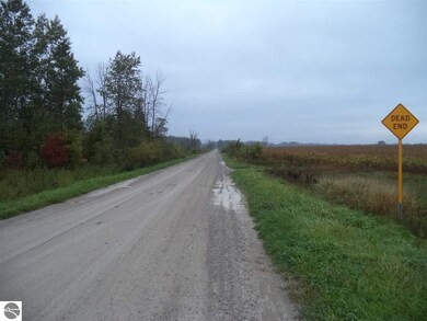 V/L 65-Miller Michigan 65, Whittemore, MI 48770 - photo 3
