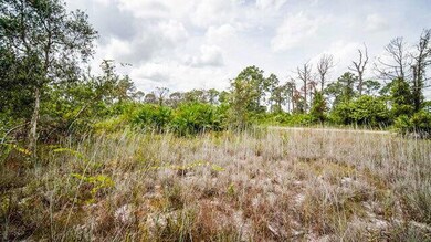 1253 Songbird St, Fort Myers, FL 33913 - photo 4