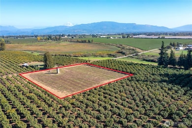 9919 Holmquist Rd, Lynden, WA 98264 - photo 2