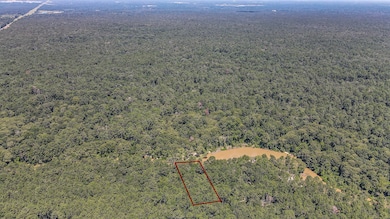 0 Blue Lake Dr unit 42488452, Cypress Point, TX 77336 - photo 7