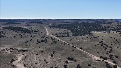 Unnamed Dirt Rd unit Apache AZ, Sanders, AZ 85936 - photo 3