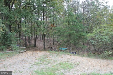 0 0 890 Acres Fountain Head Dr, Keyser, WV 26726 - photo 2