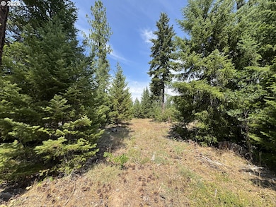 00 Ranger Rd, Goldendale, WA 98620 - photo 5