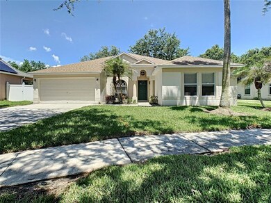 Curb view