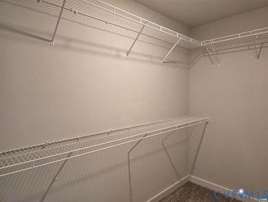Spacious closet featuring dark colored carpet