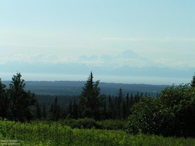 000 Clyde Thomas Ave, Anchor Point, AK 99556 - photo 5