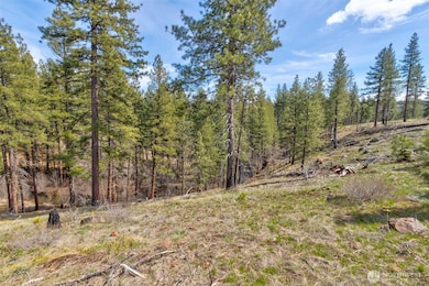 0 Lot 1 2 Box Canyon Rd, Goldendale, WA 98620 - photo 5