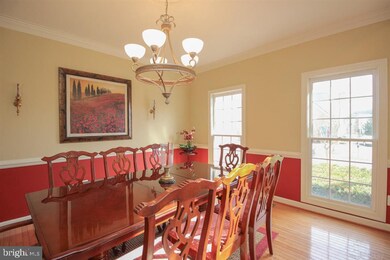 43348 St Andrews St, Chantilly, VA 20152 - photo 4