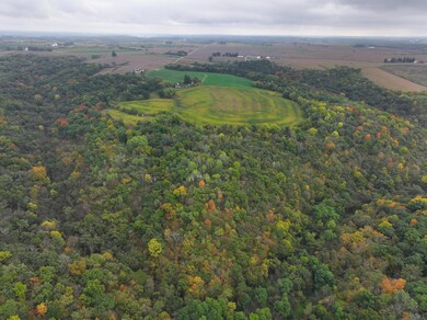 xxx 270th St, Norway Township, MN 55971 - photo 6