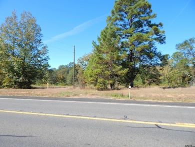 TBD 2 Acres Hwy 155, Gilmer, TX 75644 - photo 4