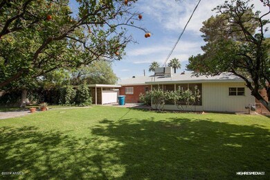 Backyard 2