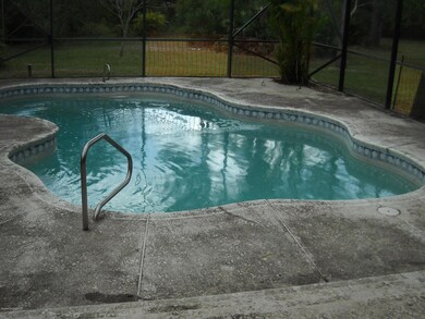 Screened in-ground pool view