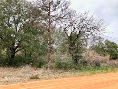 Cottonwood Blvd view
