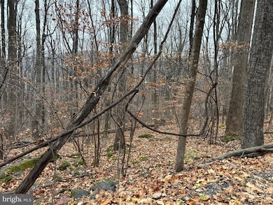 L12 Apple Mountain Lake S, Linden, VA 22642 - photo 3