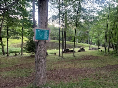 2532 Cr-22, Orange, NY 14812 - photo 6