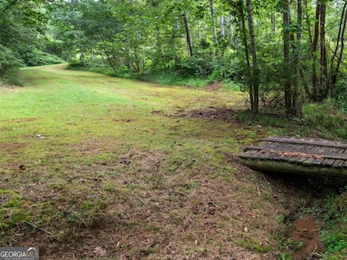 0 Duncan Bridge Rd unit 10645363, Cleveland, GA 30528 - photo 5