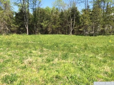 0 Cemetery Rd unit 109123, Clermont, NY 12526 - photo 4