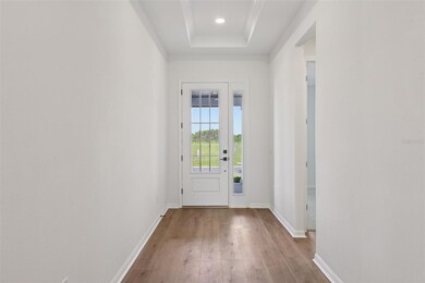 3728 Rocky Island Rd, New Port Richey, FL 34655 - photo 6