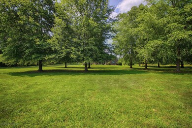 _MG_7256-HDR