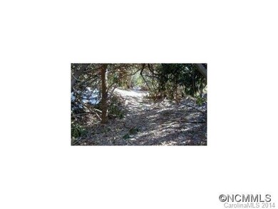 Logging Road