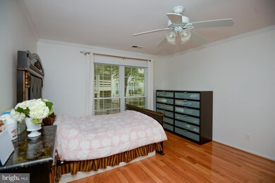 6605 Jupiter Hills Cir, Alexandria, VA 22312 - photo 4