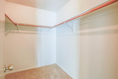 Master Walk-in Closet