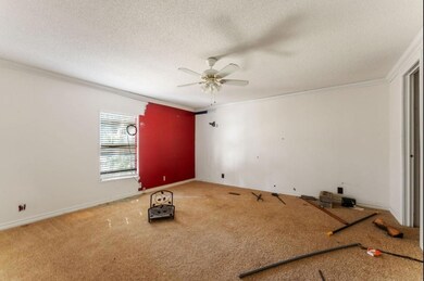Carpeted spare room with ceiling fan, a textured c
