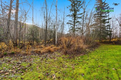 19111 Stephanie Blvd, Anchorage, AK 99577 - photo 6