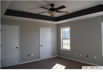 Master bedroom with tray ceiling