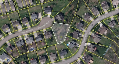 Aerial plat map