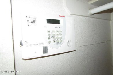 111-149295 Alarm