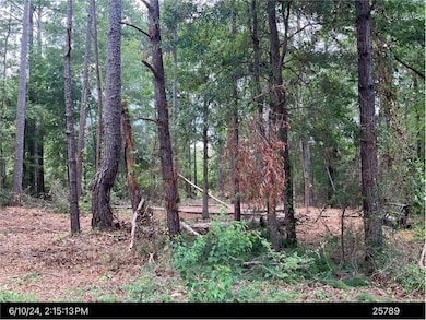 2707 Somerset Dr, Albany, GA 31721 - photo 4