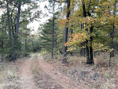 0 Willys Cir unit 11610692, Moyers, OK 74557 - photo 7